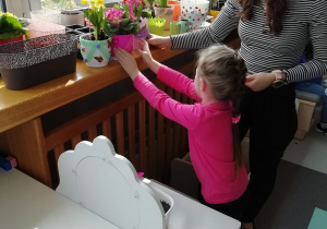 Dziewczynka zanosi kwiaty do wiosennego kącika